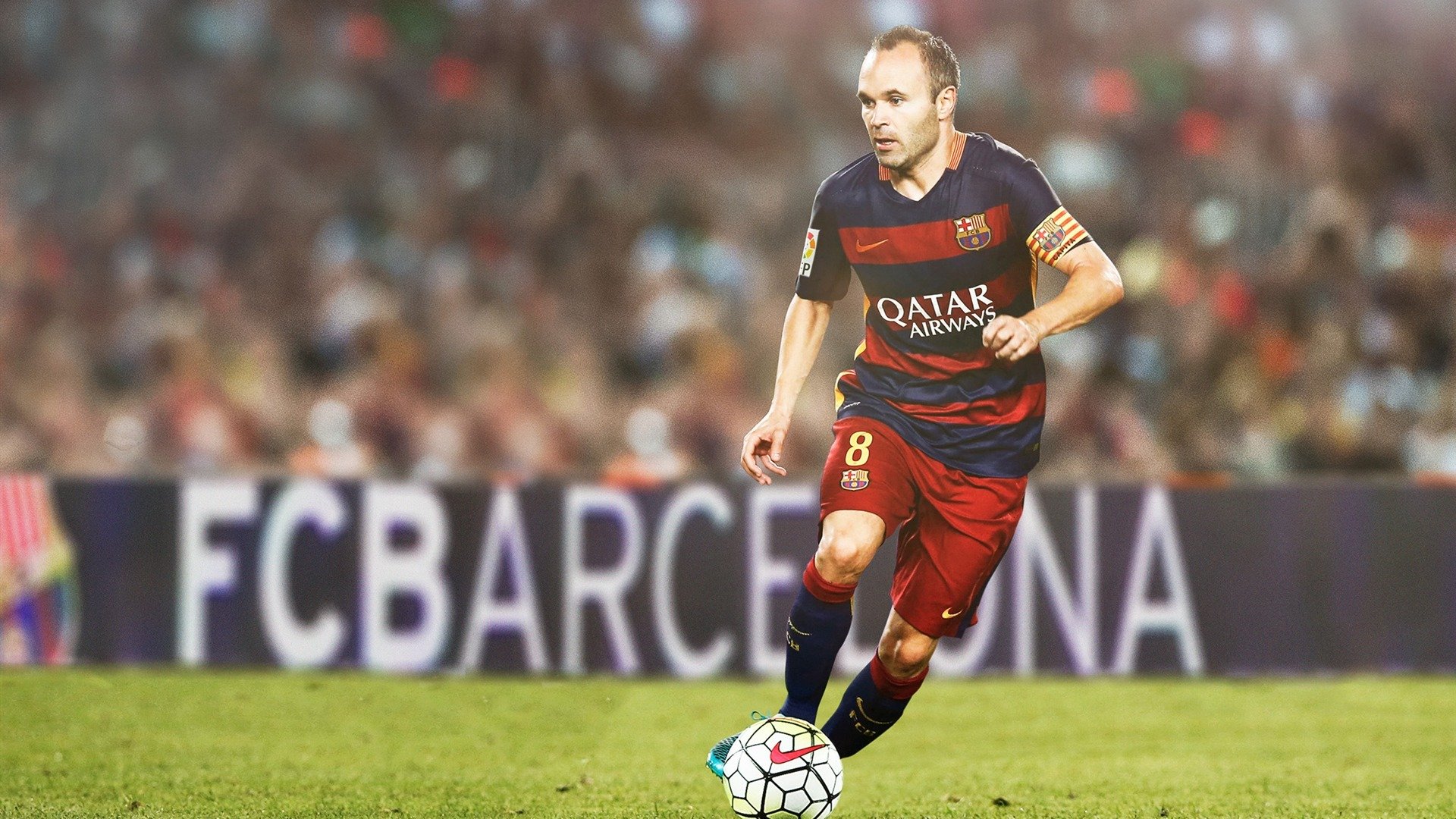 世界宠物障碍赛 世界犬类大赛增加“主人+狗狗组合跑”项目